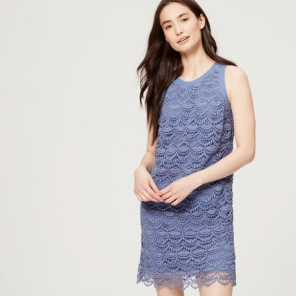 blue lace shift dress